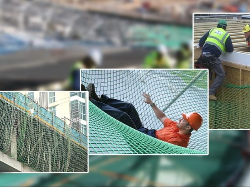 top and best pigeon safety nets in balgalore near me